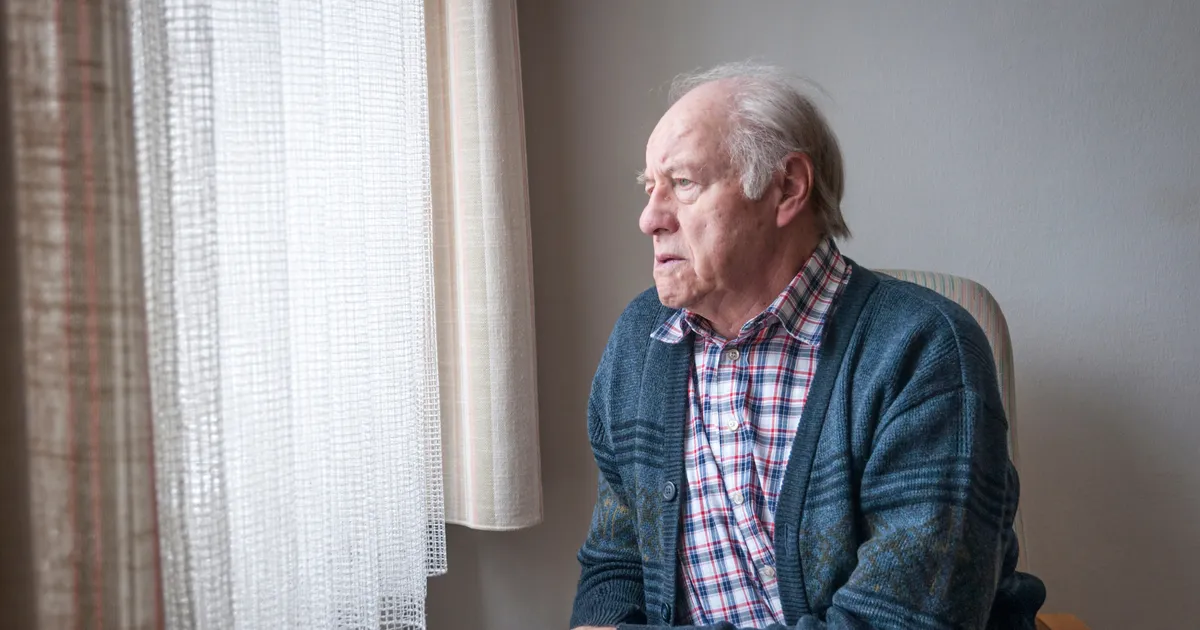 Kam směřuje městská mobilita: elektrické koloběžky dobývají města